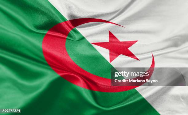 high resolution digital render of algeria flag - drapeau algérie photos et images de collection