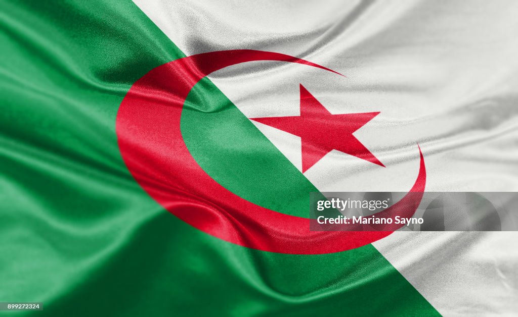 High resolution digital render of Algeria flag