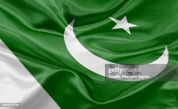 high resolution digital render of pakistan flag - pakistan flag stock-fotos und bilder