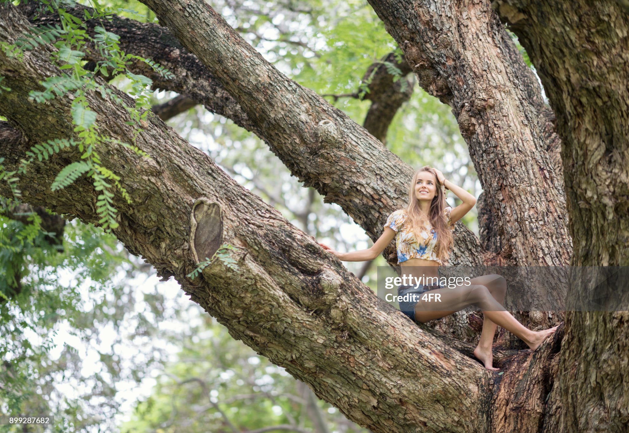 https://media.gettyimages.com/id/899287682/photo/beautiful-woman-sitting-up-in-a-huge-tree-fork-enjoying-nature.jpg?s=2048x2048&amp;w=gi&amp;k=20&amp;c=_tfKADWs-X7QJTaj08VClbVwkEFaLStyLXmdWDq5CV4=