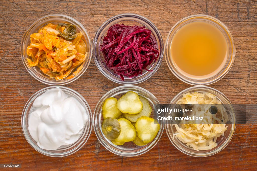 Fermented food sampler