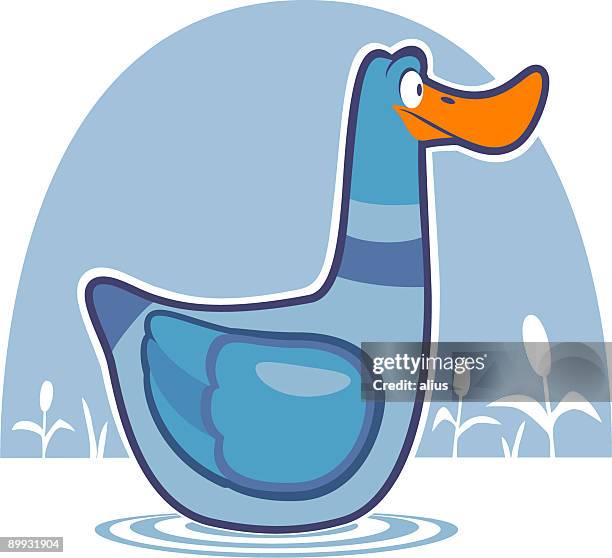 duck - sweet flag or calamus (acorus calamus) stock illustrations