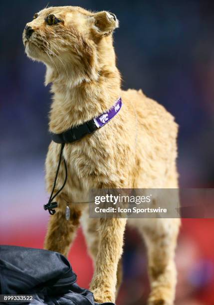 Kansas State Wildcats display a stuffed bobcat known as "Phil" during the NCAA football Cactus Bowl game between the Kansas State Wildcats and the...