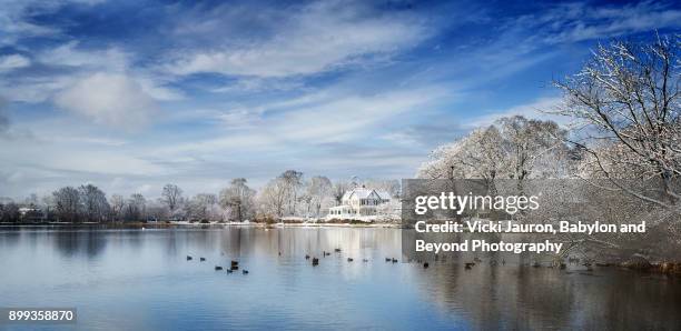 winter on argyle lake, babylon, new york - lake argyle bildbanksfoton och bilder