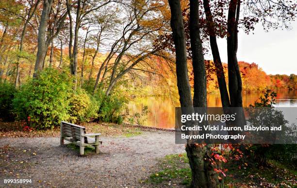 fall bench at southard's pond in babylon, long island - babylon new york stock pictures, royalty-free photos & images