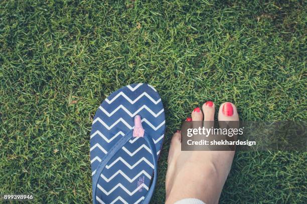 girl legs on green grass - indian female feet foto e immagini stock