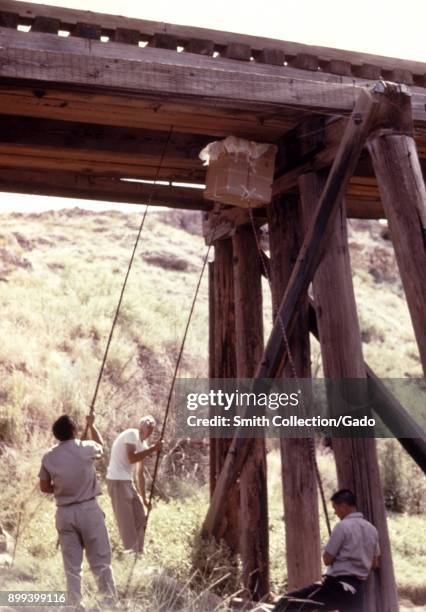 Field technicians, using a box and long sticks to catch bats beneath a railroad bridge, for an arbovirus study, 1974. Image courtesy Centers for...