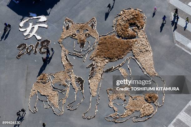This overhead view shows visitors looking at a 22.5m x 27m image of a Shiba Inu dog and her two cubs displayed to celebrate the upcoming "Year of the...