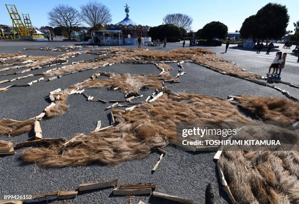 Visitors look at a 22.5m x 27m image of a Shiba Inu dog and her two cubs displayed to celebrate the upcoming "Year of the Dog" from the Chinese...