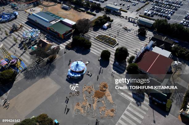 This overhead view shows visitors looking at a 22.5m x 27m image of a Shiba Inu dog and her two cubs displayed to celebrate the upcoming "Year of the...