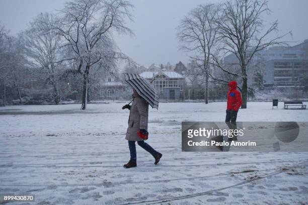 vondelpark covered in snow in amsterdam - clima stock pictures, royalty-free photos & images