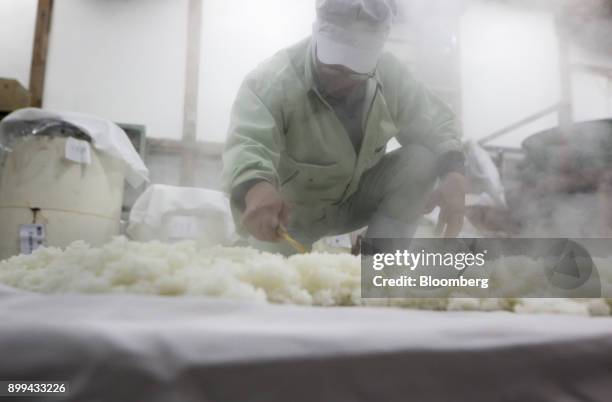 An employee spreads steamed rice at a Suehiro Sake Co. Brewery in Aizuwakamatsu, Fukushima, Japan, on Thursday, Nov. 30, 2017. For the past five...