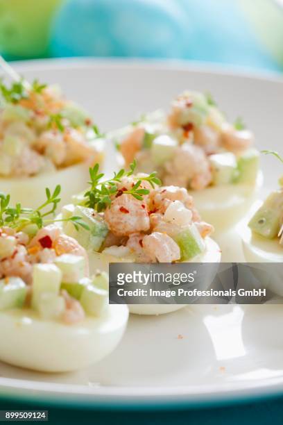 stuffed eggs with cucumber, prawns and cress - gambas photos et images de collection