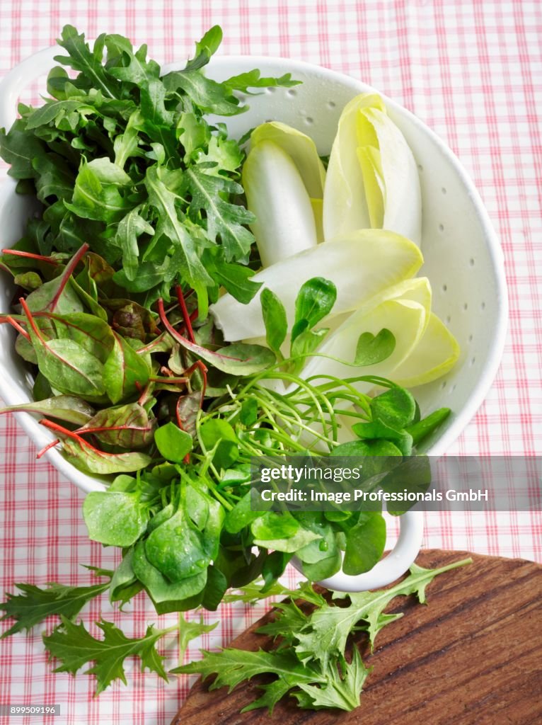 Assorted fresh lettuce in a colander