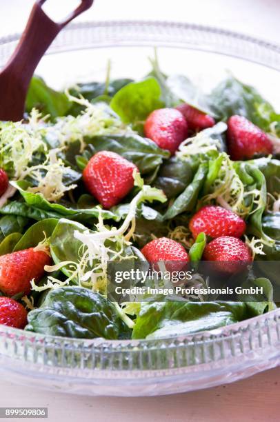 bowl of spinach salad with strawberries - curly endive stock pictures, royalty-free photos & images