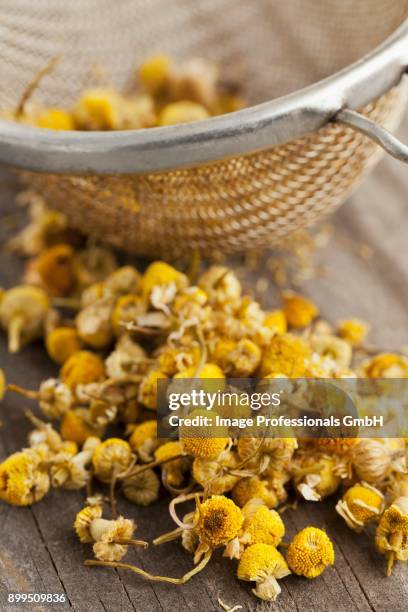 dried camomile flowers in a tea strainer and next to it - camomille stock pictures, royalty-free photos & images