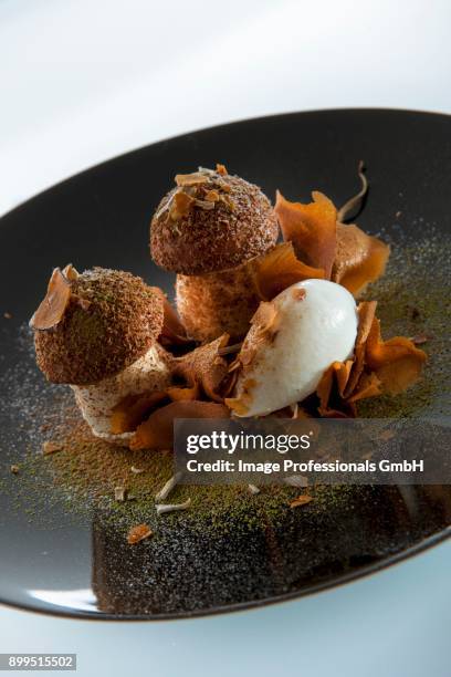 an autumnal ice cream dessert - chocolate chunks on white stock pictures, royalty-free photos & images