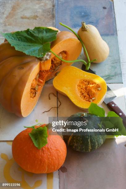 various types of squash, whole and sliced - hokaido pumpkin stock pictures, royalty-free photos & images