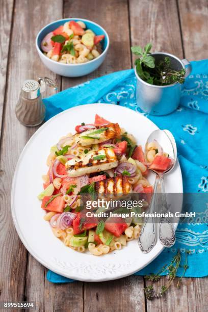 chifferi salad with watermelon, cucumber, mint and grilled halloumi - bohnenkraut stock-fotos und bilder