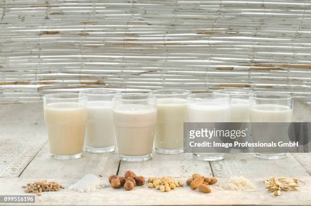various types of lactose-free milks in glasses - milk plant stockfoto's en -beelden