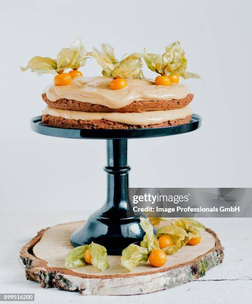 chocolate cake with physalis (cape gooseberries) - gooseberry cake stock pictures, royalty-free photos & images