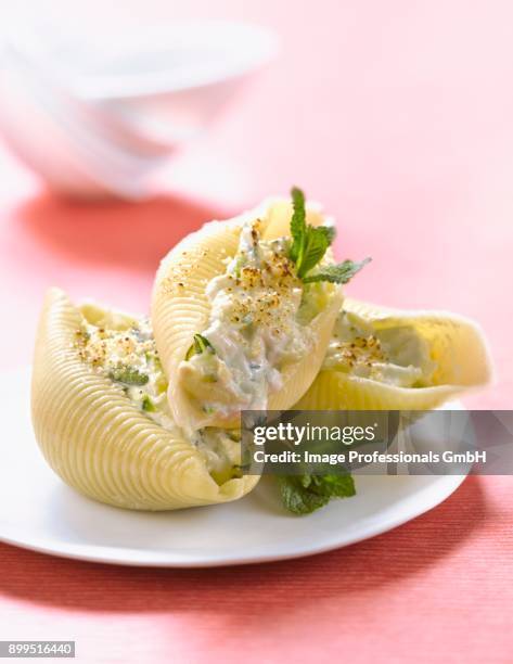 conchiglionis stuffed with ricotta,mint and zucchinis - conchiglie photos et images de collection