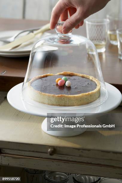 chocolate tart under a glass dome - domed tray photos et images de collection