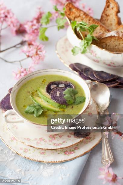 a bowl of spring green soup with avocado and beet chips - suppenschale stock-fotos und bilder