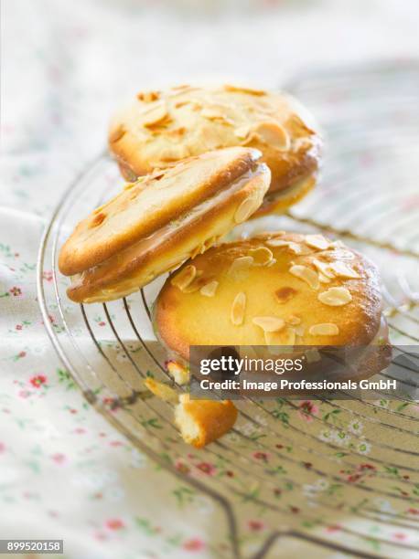 almond cookie whoopies filled with lemon cream - jause bildbanksfoton och bilder