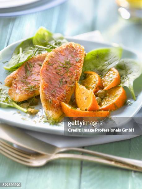 red mullets with clementines and dill - citrics stock pictures, royalty-free photos & images