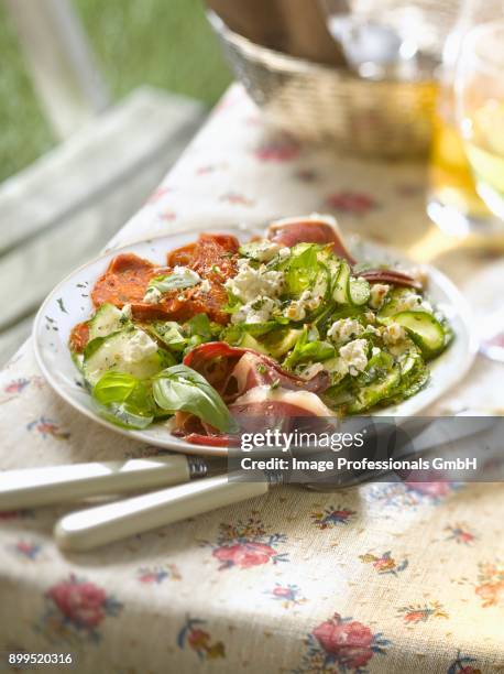 raw zucchini,ricotta, basil,smoked duck magret and sun-dried tomato salad - zucchine stock pictures, royalty-free photos & images