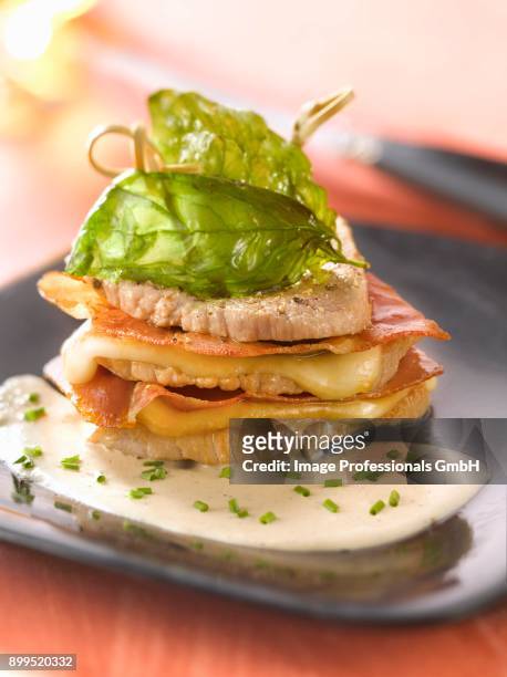 saltimbocca with ricotta and balsamic vinaigar sauce - charcuterie fromage stock pictures, royalty-free photos & images