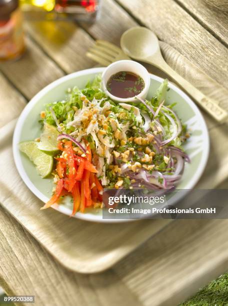 lettuce,chicken,pepper,mint and peanut thai-style salad ,nuoc-mm sauce - lattuga bildbanksfoton och bilder