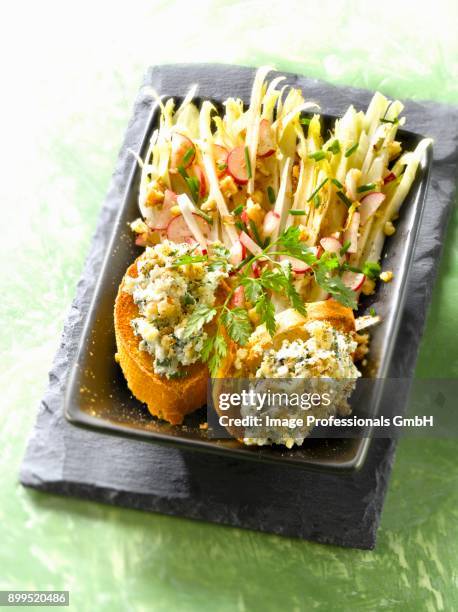 chicory and radish salad with goats cheese and walnut crostinis - witloof chicory stock pictures, royalty-free photos & images