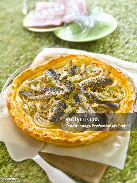 sardine,fennel,lemon zest and fennel seed savoury tart - citrics stock pictures, royalty-free photos & images