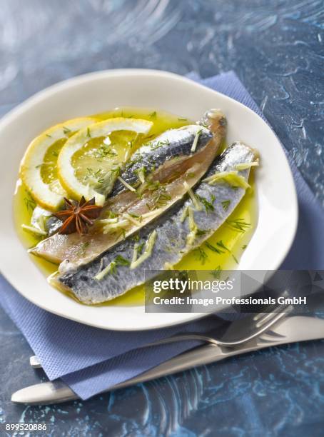 raw sardine fillets marinated in olive oil,lemon,ginger and star anise - citrics stock pictures, royalty-free photos & images