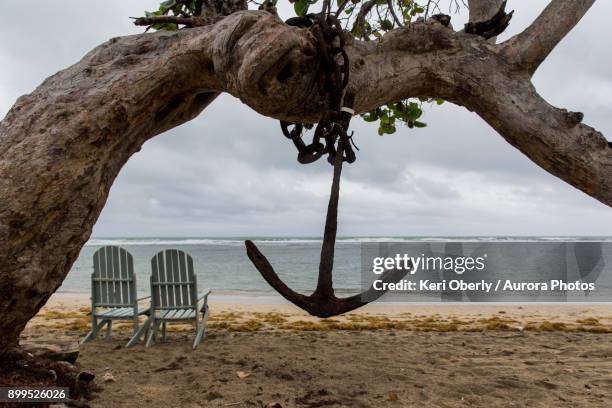 an anchor hangs on a tree near the fishing village of boca de yumuri, 20km outside baracoa, cuba. - boca animal stock pictures, royalty-free photos & images