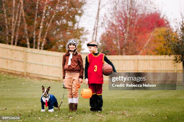 portrait of boy, twin sister and boston terrier wearing halloween costumes in garden - halloween ball stockfoto's en -beelden