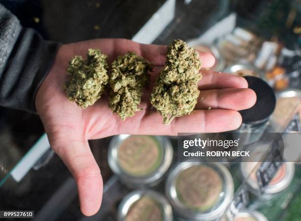 Budtender displays cannabis at the Higher Path medical marijuana dispensary in the San Fernando Valley area of Los Angeles, California, December 27,...