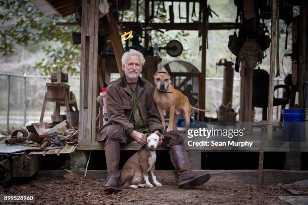 man with pet dogs by wooden work hut - joined at hip stock pictures, royalty-free photos & images
