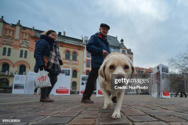 Couple with a dog passes near 'Fathers of Independence' outdoor exposition on display in Krakow's Szczepanski Square brings closer the start of the...