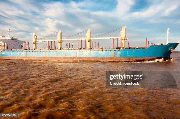 cargo ship sailing at parana river - rio paraná imagens e fotografias de stock