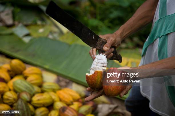 sao tomé and principe, sao tomé island, neves - são tomé e príncipe - fotografias e filmes do acervo