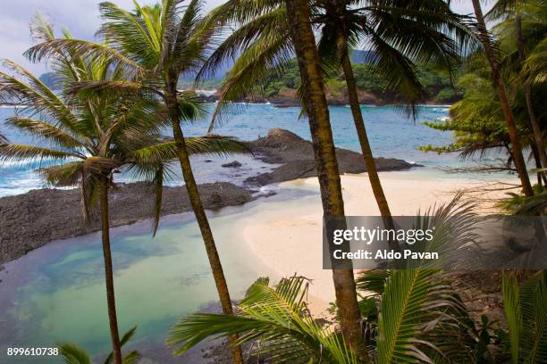 sao tomé and principe, sao tomé island - são tomé e principe stock-fotos und bilder