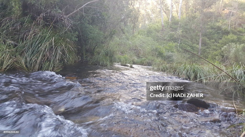 Aberfeldy River | Gippsland | Victoria | Australia