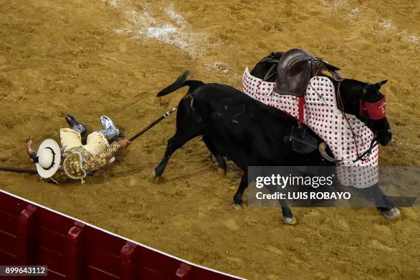 Picador falls from his horse during a bullfight at the Canaveralejo bullring during the 60th edition of the Cali Fair in Cali, department of Valle...