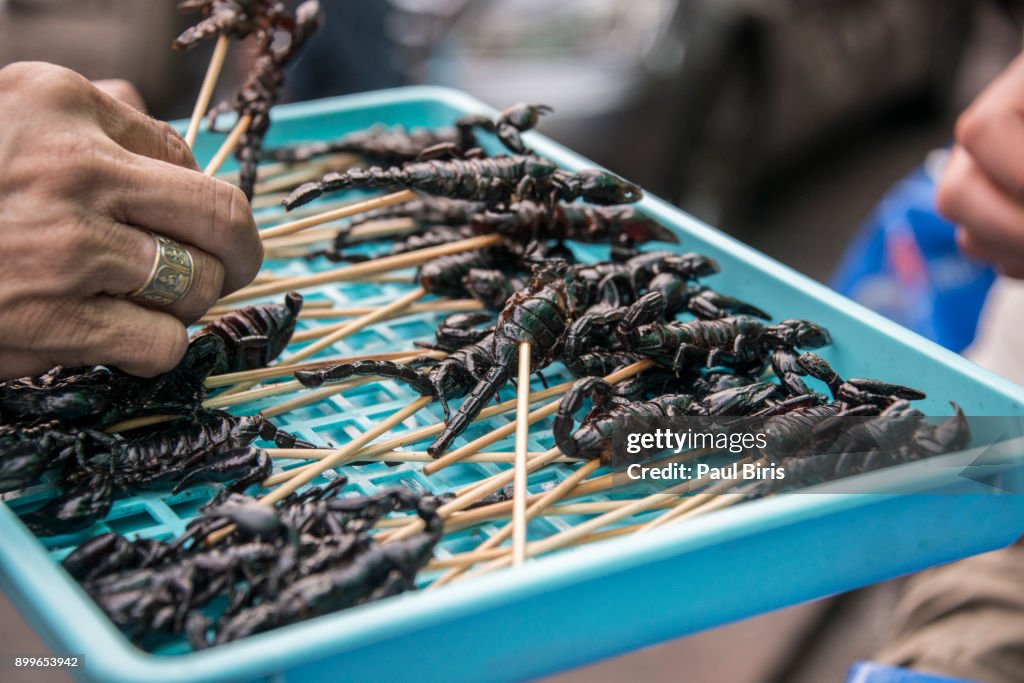 Fried Skorpions at Khao San Road in Bangkok, Thailand