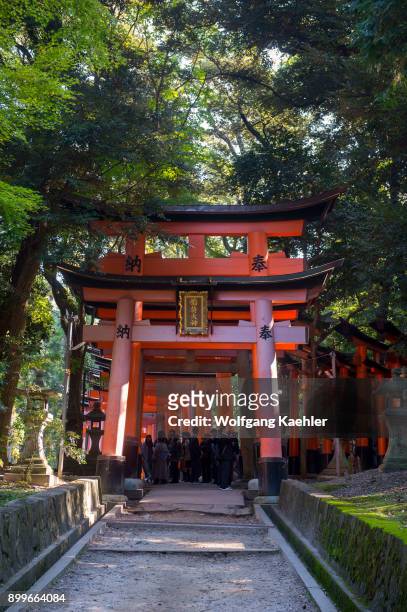 Walkway with tori gates at Fushimi Inari Taisha shrine in Kyoto, Japan which are donated by a Japanese businesses in hope of good business.