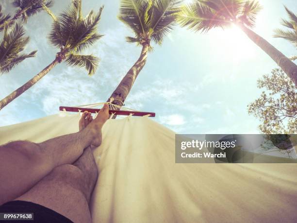 man relaxing in a hammock under the palm trees - dominican republic stock pictures, royalty-free photos & images