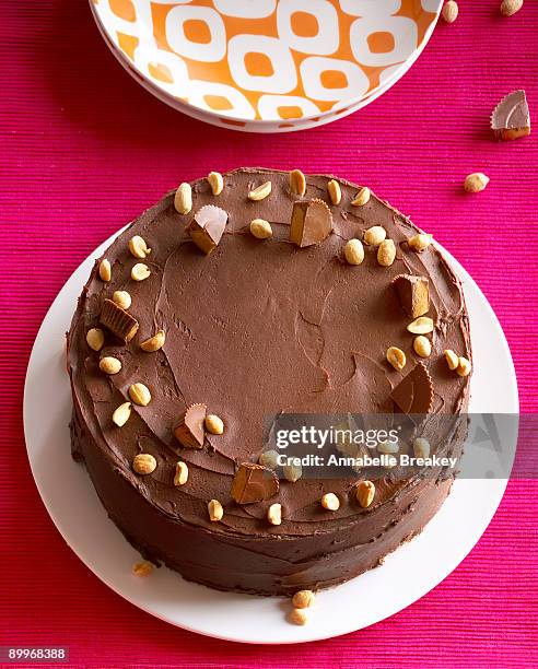 peanut butter and fudge butter cake - filet de caramel photos et images de collection